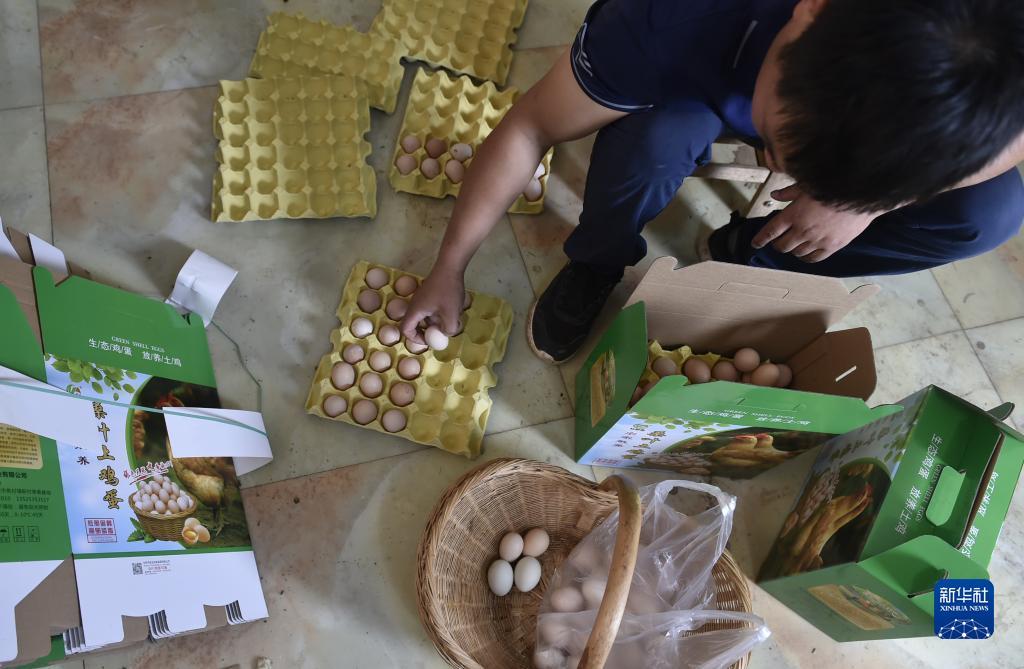 炸三张金花游戏下载可提现